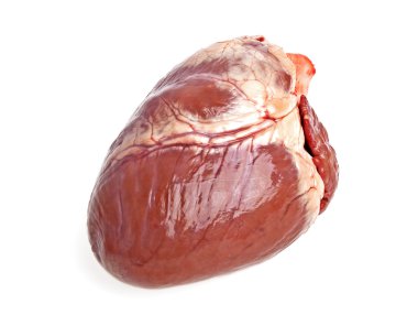 Beyaz bir arka plan üzerinde domuz kalbi