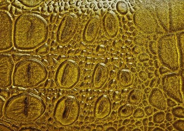 Timsah derisi doku arkaplanı