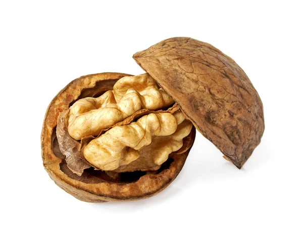 Nueces secas sobre fondo blanco — Foto de Stock