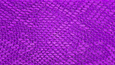 Menekşe yılan derisi doku, arka plan olarak kullanabilirsiniz