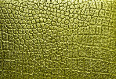 Timsah altın deri, arka plan olarak kullanabilirsiniz 