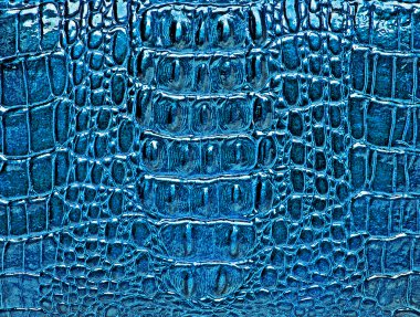 Mavi timsah desenli arka plan