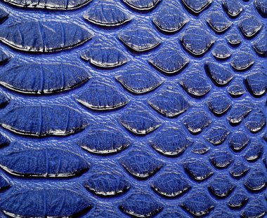 Mavi yılan desenli arka plan