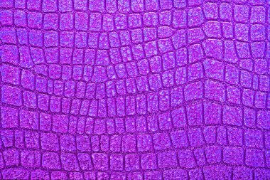 Menekşe timsah desenli arka plan