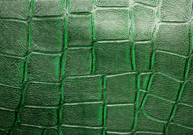 Yeşil timsah desenli arka plan