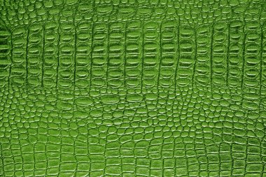 Yeşil timsah desenli arka plan 