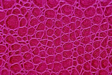 pembe timsah desenli arka plan