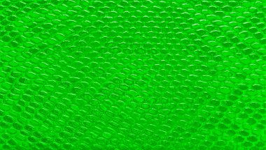 Yeşil yılan derisi deri abstract, arka plan deseni