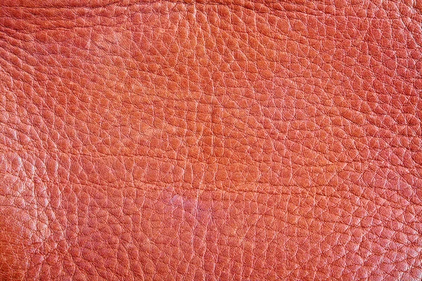 Cuir marron texture, fond — Photo