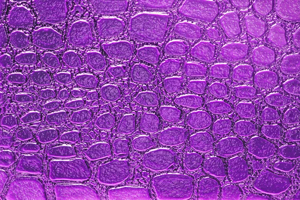 Fondo estampado de cocodrilo púrpura —  Fotos de Stock