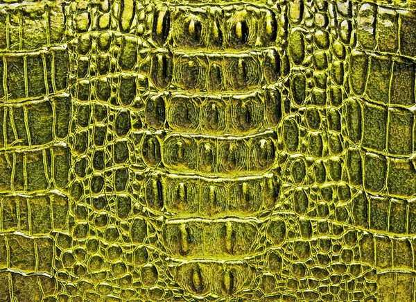 Crocodile golden leather, can use as background — Stock Photo, Image