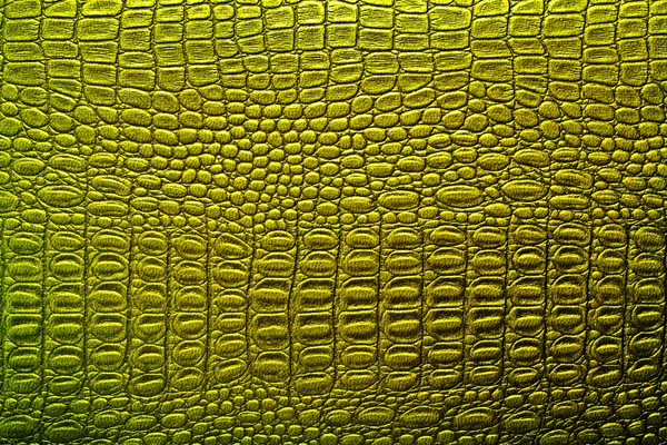 Green alligator leather background — Stock Photo, Image