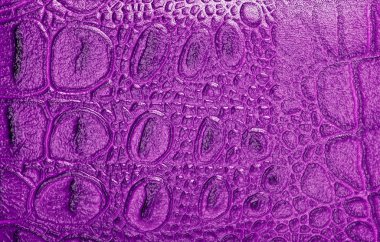 Timsah derisi doku arkaplanı