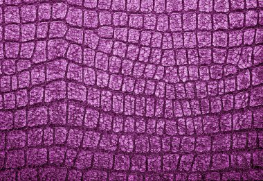 Timsah derisi doku arkaplanı