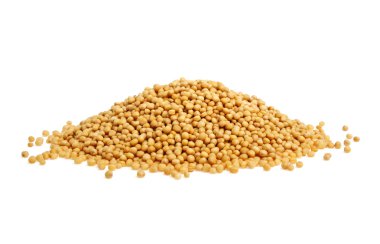 Beyaz zemin üzerine sarı hardal tohumu