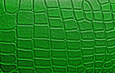 Timsah derisi doku arkaplanı