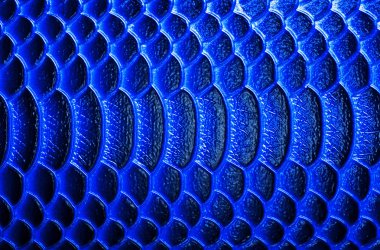 Timsah derisi doku arkaplanı