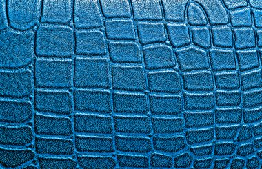 Timsah derisi doku arkaplanı