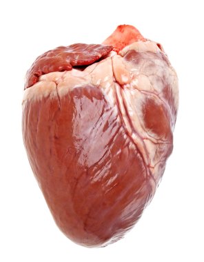 Pig heart on a white background clipart