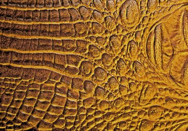 kahverengi timsah desenli arka plan