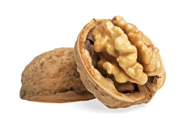 Beyaz arka plan üzerinde izole kuru ceviz