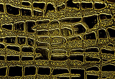 Sarı timsah desenli arka plan