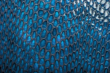 Mavi yılan deri arka plan