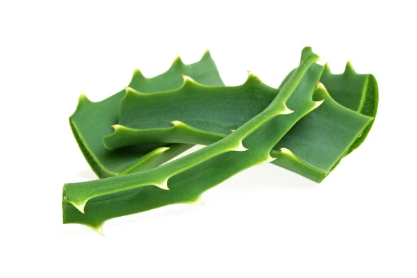 Aloe vera blad och skivor på en vit bakgrund — Stockfoto