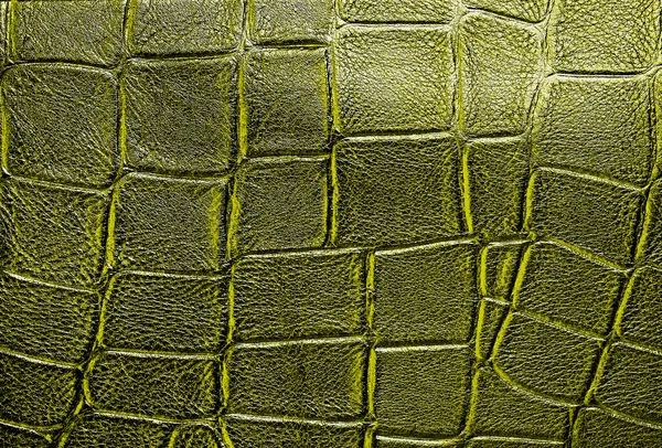 Crocodile leather, can use as background — Stock Photo, Image