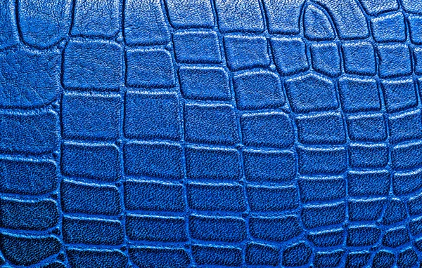 Crocodile cuir texture fond — Photo