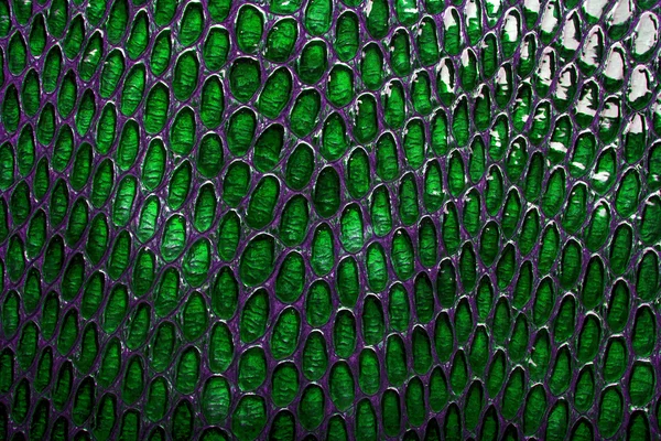 Grüne Schlangenhaut Hintergrund — Stockfoto