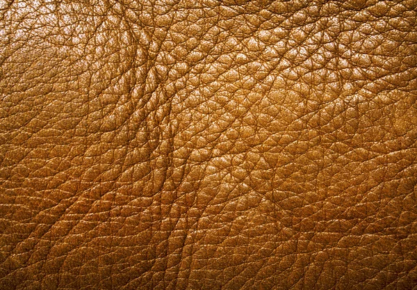 Cuir marron texture, fond — Photo