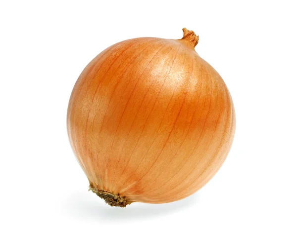 Ripe onion on a white background — Stock Photo, Image