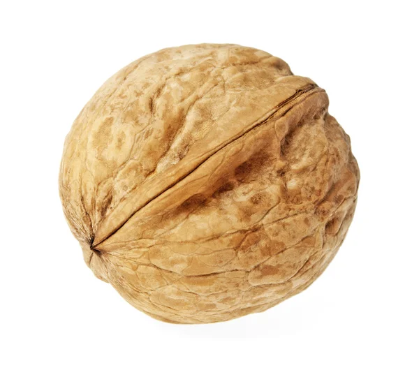 Walnut isolated on white background — Stock Photo, Image