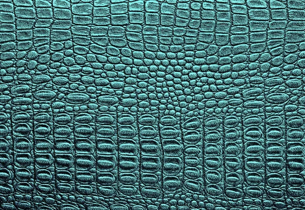 Crocodile cuir texture fond — Photo