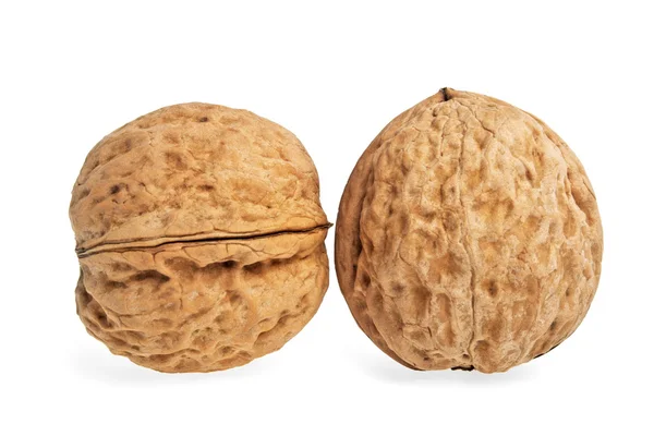 Two walnuts on a white background — Stock Photo, Image