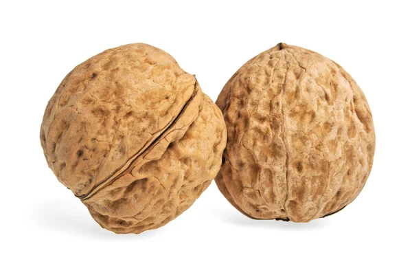 Two walnuts on a white background — Stock Photo, Image