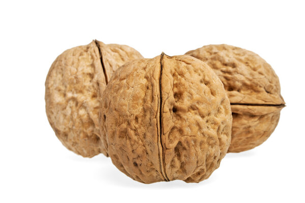 Walnuts on a white background, isolated objects