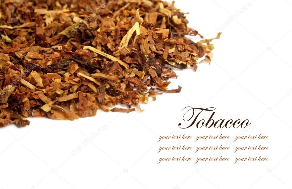 Different kinds tobacco leaves on a white background, with space