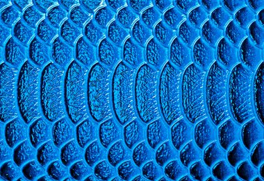 Timsah derisi doku arkaplanı