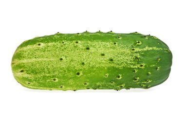 Beyaz arka planda izole edilmiş taze salatalık.