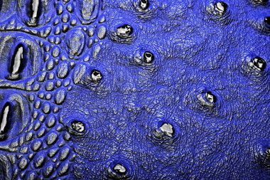 Timsah derisi doku arkaplanı