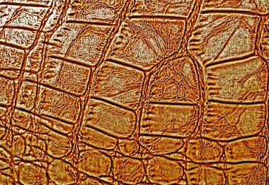 Timsah derisi doku arkaplanı