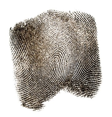 Beyaz arka plan üzerinde parmak izi