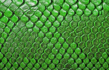 Deri yılan, arka plan olarak kullanabilirsiniz