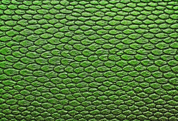 Hadí kůže textury kůže, lze použít jako pozadí — Stock fotografie