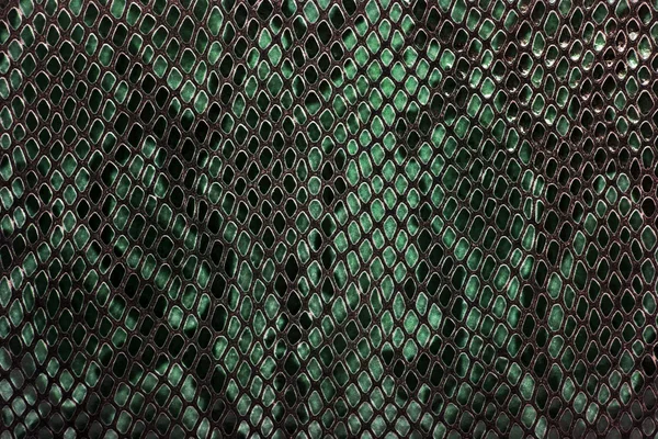 Grön orm hud bakgrund — Stockfoto