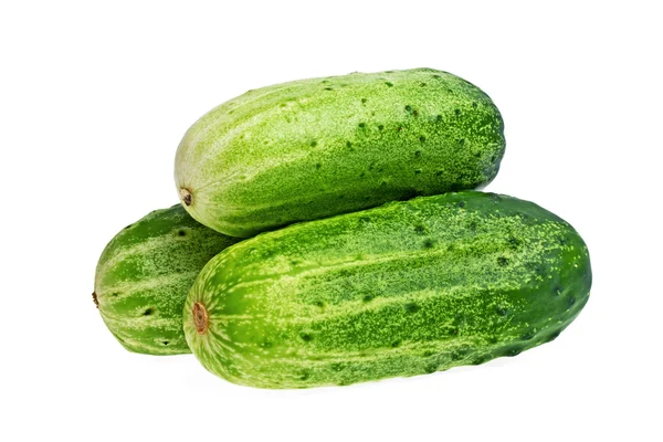 Fresh cucumber isolated on a white background — Stock Photo, Image