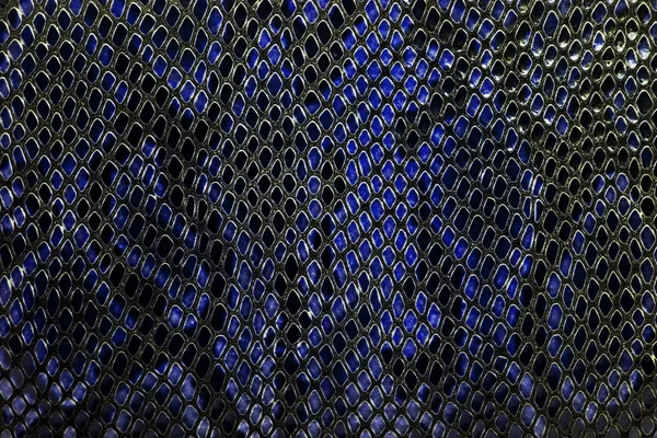 Синій фон зі змією шкіри — стокове фото