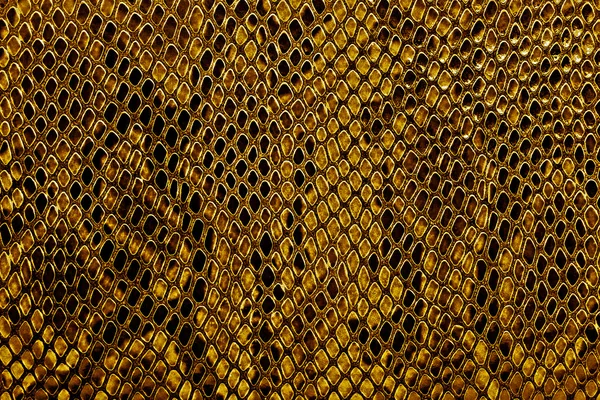 Amarelo pele de cobra fundo — Fotografia de Stock